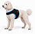 Peitoral de Neoprene com Guia para Cães P | Luna Lua - Imagem 11