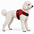 Peitoral de Neoprene com Guia para Cães P | Luna Lua - Imagem 19
