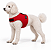 Peitoral de Neoprene com Guia para Cães P | Luna Lua - Imagem 16