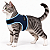 Peitoral de Neoprene com Guia para Gatos | Luna Lua - Imagem 1
