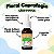 Floral Coprofagia em Gotas para Cães e Gatos 30 ml | Animal Flower - Imagem 3