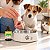 Floral Lambedura Psicogênica em Gotas para Cães e Gatos 30 ml | Animal Flower - Imagem 3