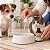 Floral Revitalizante em Gotas para Cães e Gatos 30 ml | Animal Flower - Imagem 2