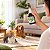 Floral Traumas e Medos em Spray para Cães e Gatos 100 ml | Animal Flower - Imagem 4