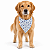 Bandana para Cães Dupla Face Cavalo-Marinho - Imagem 2