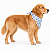 Bandana para Cães Dupla Face Cavalo-Marinho - Imagem 1