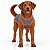 Roupa Pós-Cirúrgica para Cães | Zenpet - Imagem 3