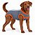 Roupa Pós-Cirúrgica para Cães | Zenpet - Imagem 1