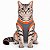 Roupa Pós-Cirúrgica para Gatos | Zenpet - Imagem 3