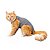 Roupa Pós-Cirúrgica para Gatos Zenpet - Imagem 2