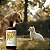 Shampoo para Cachorrro e Gato Natural Neem Pet 180ml Openeem - Imagem 2