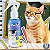 Spray Educador para Gatos Cat Trainer 120ml CatMyPet - Imagem 4