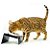 Comedouro para Gatos Snack Cat Preto CatMyPet - Imagem 2