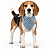 Bandana para Cães Dupla Face Floral Azul Listrado | Zenpet - Imagem 2