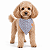 Bandana para Cães Dupla Face Floral Rosa Listrado | Zenpet - Imagem 2
