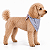 Bandana para Cães Dupla Face Floral Rosa | Zenpet - Imagem 1