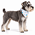 Bandana para Cães Dupla Face Floral White | Zenpet - Imagem 1