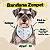 Bandana para Cães Dupla Face Floral White | Zenpet - Imagem 3