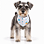 Bandana para Cães Dupla Face Floral White | Zenpet - Imagem 2