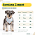 Bandana para Cães Dupla Face Floral White | Zenpet - Imagem 4