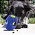 Brinquedo Interativo para Cachorro - Kong Tikr com Temporizador - Imagem 2