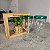 Kit 2 Unid. Taça Allegra Borda Verde 300 ml - Imagem 1