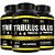 TRIBULUS TERRESTRE 60CPS - Imagem 1