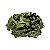 DV Chá Verde (Camellia sinensis) Partes Aéreas - Imagem 1