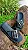 Chinelo Feat Petite Jolie PJ7482 Preto - Imagem 1