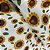 Tricoline Flor de Sol Creme tecido 100% Algodão 50cm x 1,40Largura - Imagem 1