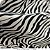 Cetim Zebra 100% Poliéster, Forros, Decorações - Medida 1metro x 1,50Largura - Imagem 1