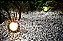 LUMINÁRIA ESPETO LED PARA JARDIM 12w | Foco 90º | Bivolt | IP65 Resistente à água | LED PHILIPS - Imagem 8