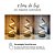 Luminária de mesa 12w espiral dourada touch luz 3/1 dimerizável - Imagem 2