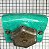 CONECTOR BATERIA - MS25182-2 (SV) - Imagem 1