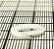 RETENTOR TEFLON - MS9058-04 - Imagem 2