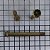 PARAFUSO ESTRIADO 1/4" - MS21134-04037 - Imagem 1