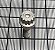 PARAFUSO ESTRIADO 1/4" - PE21094-04004A - Imagem 2