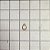 RETAINING RING - 36008-15C - Imagem 1
