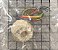 TRANSFORMADOR - CB-1460-Z       (8549) - Imagem 2