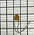 CAPACITOR - 113-5301-00 - Imagem 1