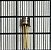 RESISTOR - 352-0440-000 - Imagem 1