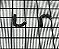 ESCOVA - 96336-0000 - Imagem 2
