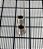MOLA - 4A-1321-10-03 - Imagem 2