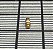SEMICONDUTOR - 96083425 - Imagem 2