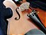 Violino 4/4 Barth Violin Profissional VW118Y - Madeira Maciça Feito a Mão c/ Case Luxo Retangular + Arco redondo em Ébano - Imagem 6