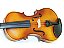 Kit Violino Barth Violin Old (envelhecido) 4/4 com Estojo, Arco,Breu + Espaleira Shoulder Rest + Afinador Cromático - Imagem 8