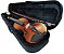 Kit Violino Barth Violin Old (envelhecido) 4/4 com Estojo  BK, Arco,Breu + Espaleira Shoulder Rest - Imagem 2