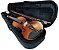 Violino Barth Violin Old 4/4 (envelhecido) - com Estojo Bk + Arco + Breu - Completo! - Imagem 3
