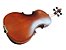 Violino Barth Violin Old 4/4 (envelhecido) - com Estojo Bk + Arco + Breu - Completo! - Imagem 8