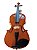 Violino p/ Canhoto Barth Violin  4/4 Natural Bright  - com Estojo + Arco + Breu - Imagem 4